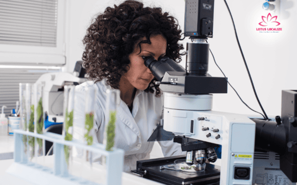 Chemical engineering translation: Bridging science and language for global innovation